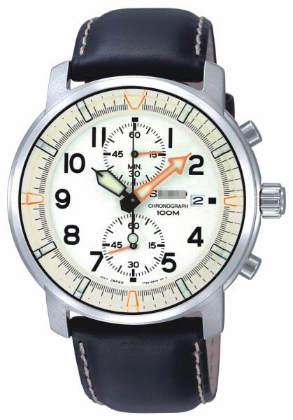 SNN227P1 Watch Battery