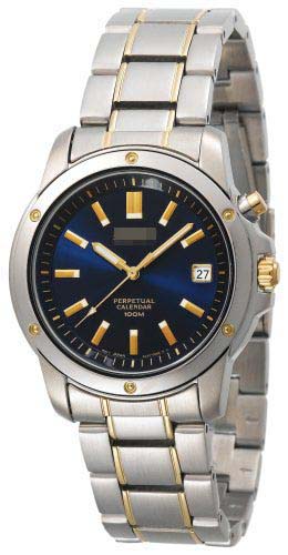 SNQ010 Watch Battery
