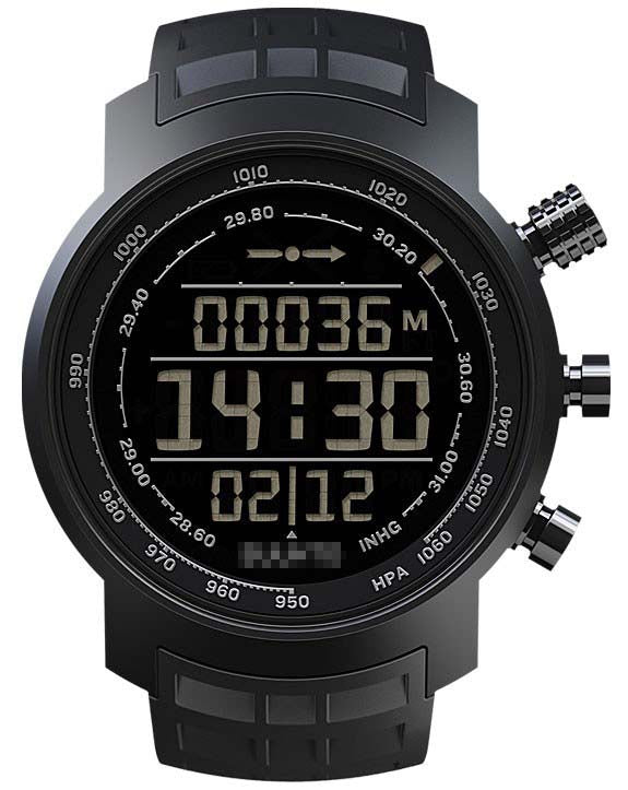 SS016979000 Watch Battery
