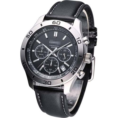 SSB049P2 Watch Battery