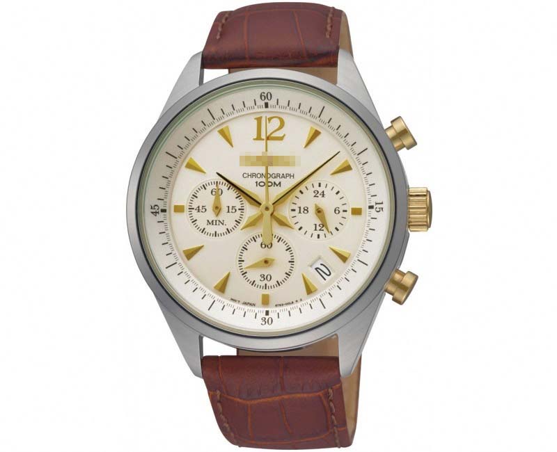 SSB069P1 Watch Battery