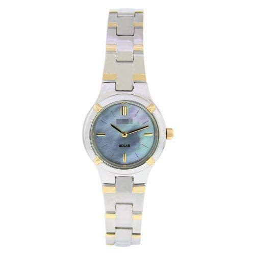 SUP066 Watch Battery