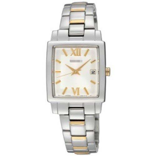 SXDC31P1 Watch Battery
