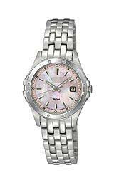 SXDC95 Watch Battery