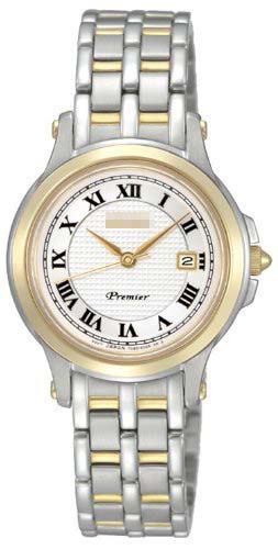 SXDE02P1 Watch Battery