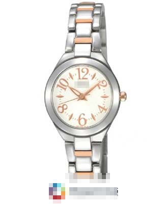 SXGN85P1 Watch Battery