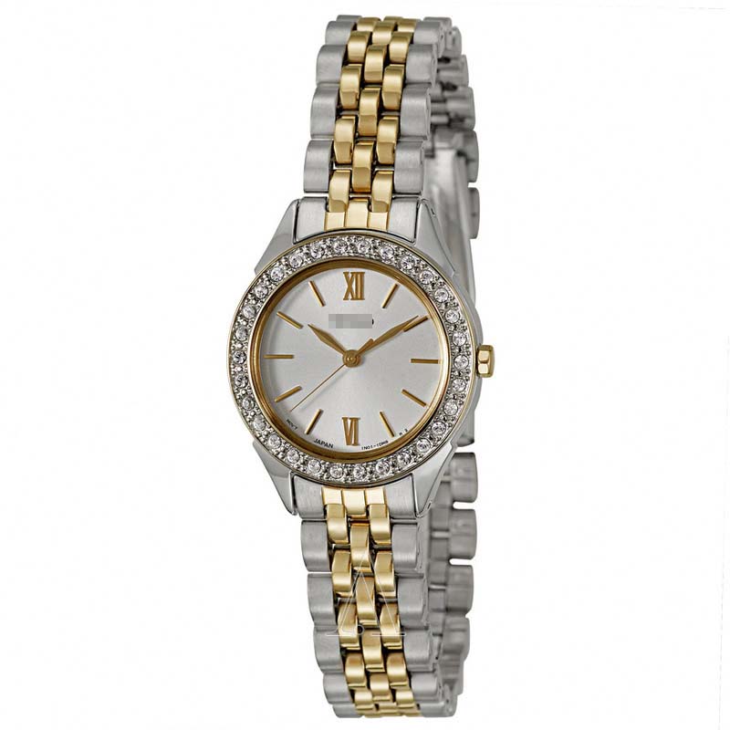 SXGP28P1 Watch Battery