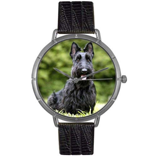 T0130067 Watch Battery
