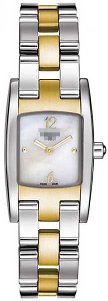 T042.109.22.117.00 Watch Battery