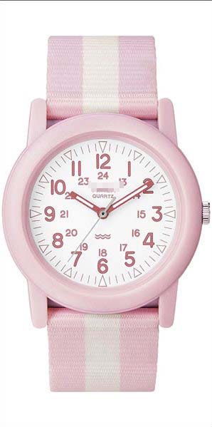 T2N258 Watch Battery