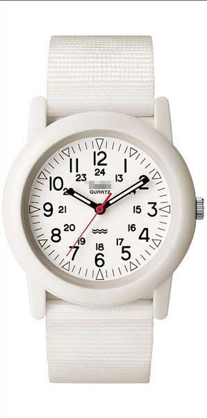 T2N260 Watch Battery
