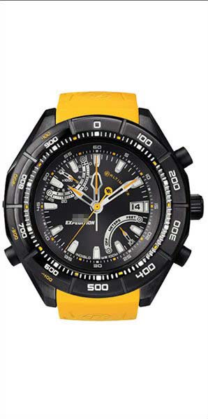 T49796 Watch Battery