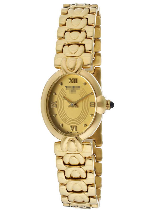T68.5.385.21 Watch Battery
