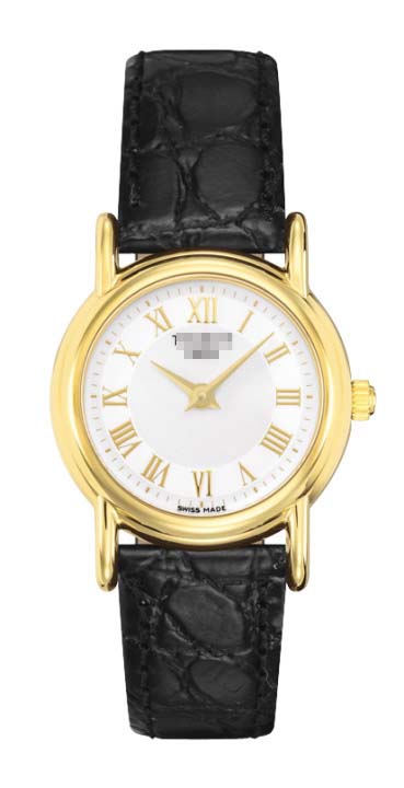 T71.3.129.13 Watch Battery
