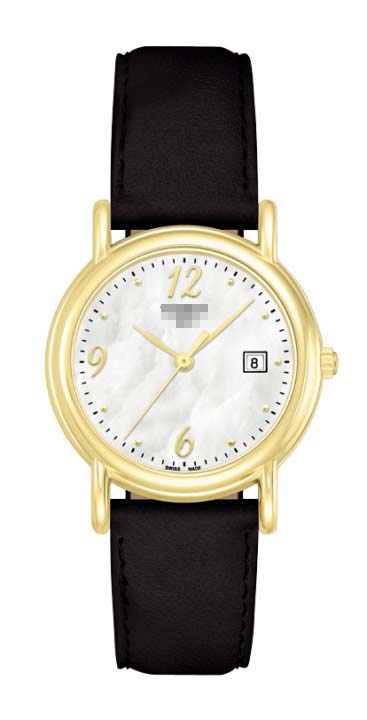 T71.3.189.74 Watch Battery