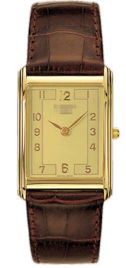 T71.3.308.22 Watch Battery