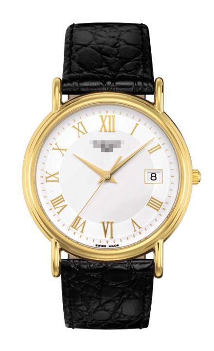 T71.3.429.13 Watch Battery