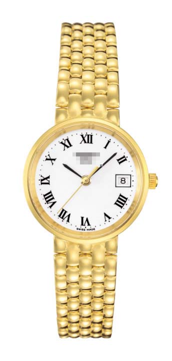 T73.3.108.13 Watch Battery