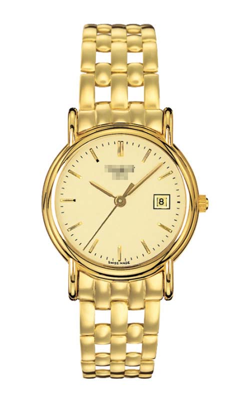 T73.3.131.21 Watch Battery