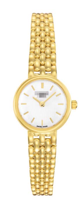 T73.3.132.11 Watch Battery