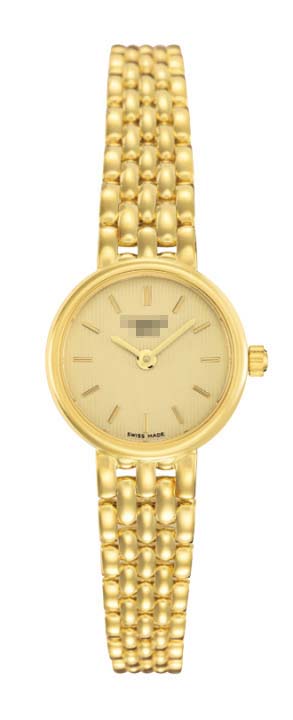 T73.3.132.21 Watch Battery