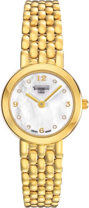 T73.3.137.76 Watch Battery