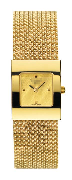 T73.3.321.21 Watch Battery