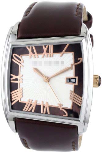 TE1060 Watch Battery