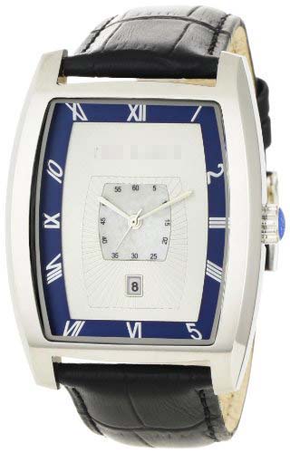 TE1066 Watch Battery