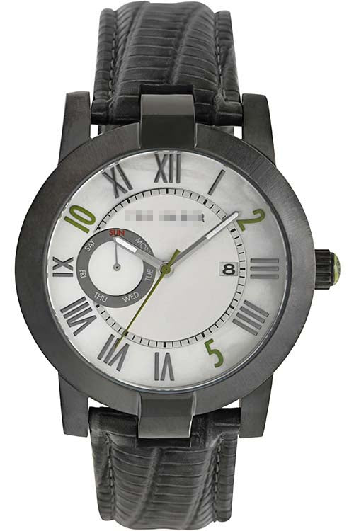 TE1076 Watch Battery
