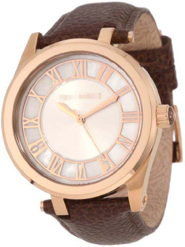 TE1079 Watch Battery