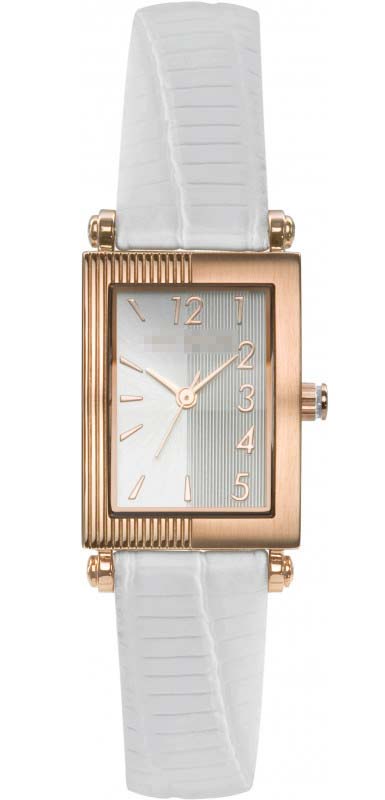TE2003 Watch Battery