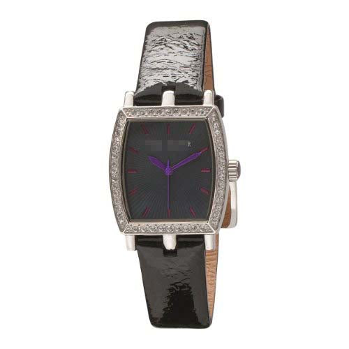 TE2011 Watch Battery