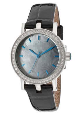 TE2013 Watch Battery