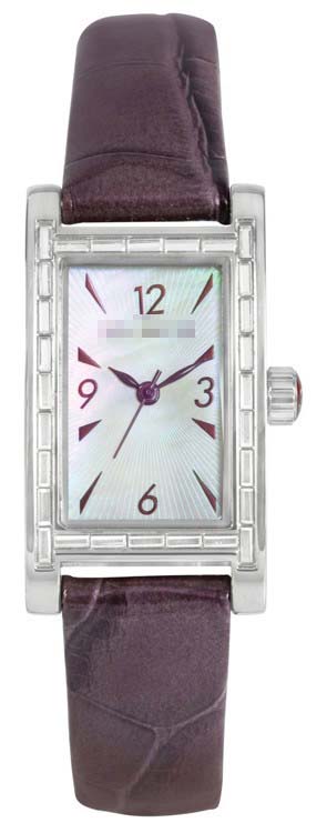 TE2015 Watch Battery