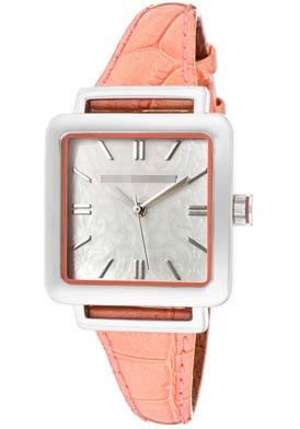 TE2018 Watch Battery