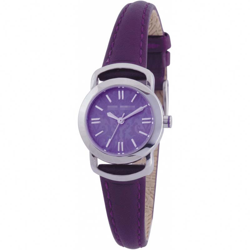 TE2053 Watch Battery