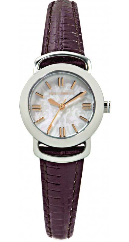 TE2055 Watch Battery