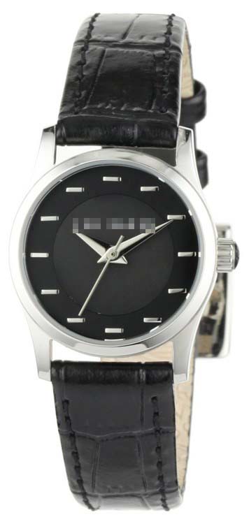 TE2064 Watch Battery