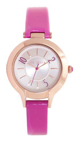 TE2088 Watch Battery