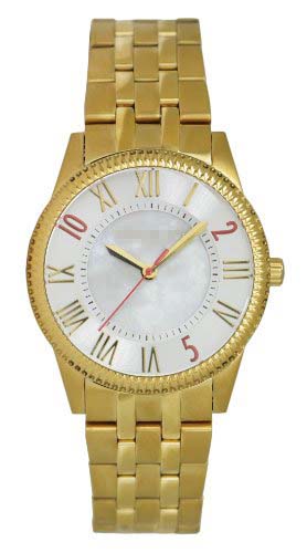TE4070 Watch Battery