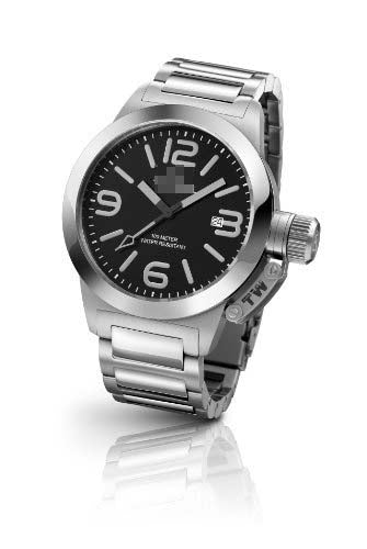 TW300 Watch Battery