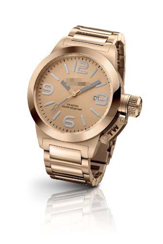 TW303 Watch Battery
