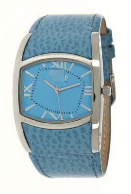 W1013DIV021016 Watch Battery