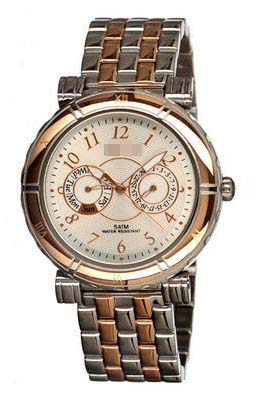 W1066STE021024 Watch Battery