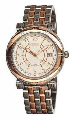 W1067STE021024 Watch Battery
