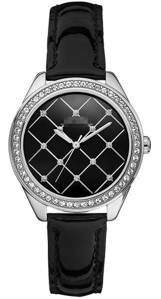 W60005L2 Watch Battery