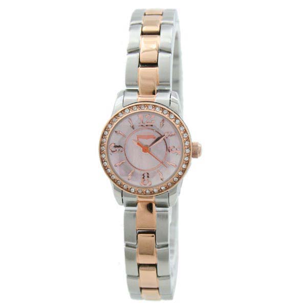 WF0A025BPZ Watch Battery