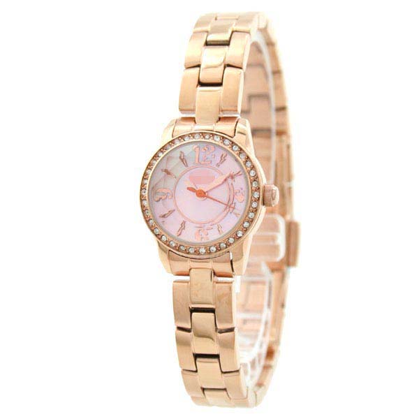 WF0B025BPP Watch Battery