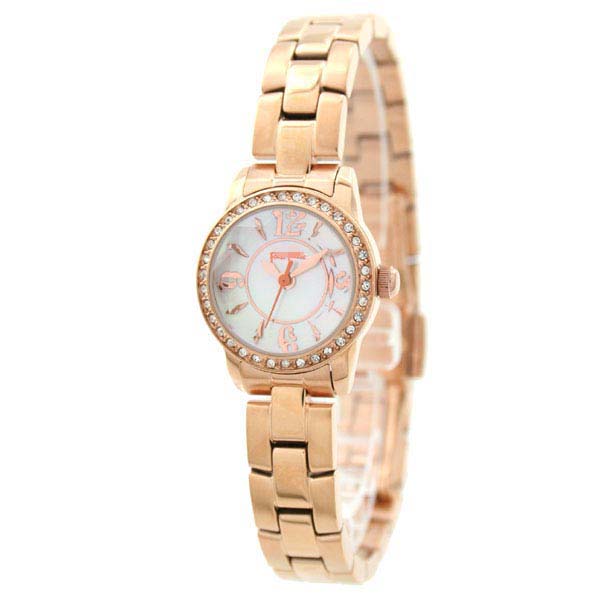 WF0B025BPW Watch Battery